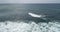 Surfers paddling for catching waves during surfing