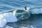 Surfers riding a big wave in the Pacific Ocean at Puertecillo spot in Chile. Amazing waves for surfing in an awe wild scenery