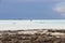 Surfers in Rosignano  - Italy, Toscany