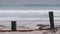 Surfers on sandy ocean beach. People surfing, autumn or winter California waves.