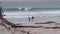 Surfers on sandy ocean beach. People surfing, autumn or winter California waves.