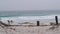 Surfers on sandy ocean beach. People surfing, autumn or winter California waves.