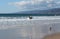 Surfers and seagulls in Pacific Ocean, Santa Monica, Los Angeles , California, USA