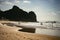 Surfers and swimmers on the beach