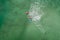 Surfers in tropical ocean waiting wave. Aerial view made with drone