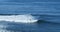 Surfers trying to catch a wave in the Pacific ocean