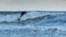 Surfers on Tynemouth Beach