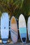 Surfing boards. Caribbean coast, Costa Rica.