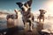 Surfing Dogs and Friendly Seals: Epic Unreal Engine 5 Composition with Hyper-Detailed and Beautifully Color-Graded Insane Details