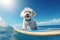 Surfing Maltese Marvel: Sunglassed Pup Rides the Waves with Endless Delight - Generative AI