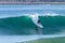 Surfing Surfer Rides Wave