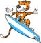 Surfing Tiger