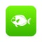 Surgeon fish icon digital green