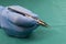 Surgeon holding micro surgical tool