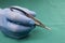 Surgeon holding micro surgical tool