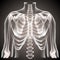 Surgeon radiologist medical examaning lung torso