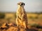 Suricate  Made With Generative AI illustration