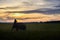 SURIN, THAILAND - CIRCA OCTOBER 2016 : Thai mahout ride the elephant to work in a rice field at sunrise. In Thailand, the economy