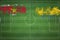 Suriname vs Gabon Soccer Match, national colors, national flags, soccer field, football game, Copy space
