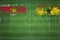 Suriname vs Ghana Soccer Match, national colors, national flags, soccer field, football game, Copy space