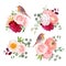 Surprise bouquets and cute robin birds vector design objects
