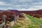 Surprise view, Hathersage, Peak District, U.K.