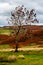 Surprise view, Hathersage, Peak District, U.K.