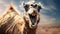 Surprised Camel In Surrealistic Desert: A Humorous Social Media Portraiture