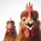Surprised Chicken look on white Background with Space for Copy. ai generative