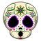 Surprised colored mexican skull cartoon