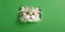 Surprised Cute Persian Cat Leaning Out of Square Hole on Green Background
