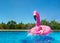 Surprised inflatable pink flamingo bird in a pool