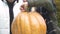 Surprised kids carving jack-o-lantern, Halloween traditions, happy childhood