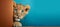 Surprised lion cub peeking from corner on blue background. Generative AI