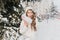 Surprised long-haired female model in white attire having fun in cold snowy day. Outdoor photo of spectacular blonde