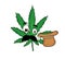 Surprised marihuana cartoon