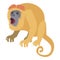 Surprised monkey icon, cartoon style