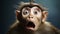 Surprised Monkey Showing Teeth - Stock Photo