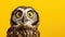 Surprised owl on yellow background. With copy space for text. Owl or eagle owl close up with large surprised yellow eyes