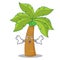 Surprised palm tree character cartoon