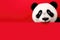 Surprised Panda With Big Eyes On Red Background