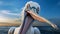 Surprised Pelican: Close-up Of A White Bird In Daz3d Style