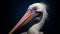 Surprised Pelican: Studio Portraiture In Zbrush With Precisionist Art Style