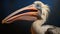 Surprised Pelican In The Style Of Stefan Gesell