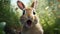 Surprised Rabbit In Hyper-detailed Rendering: An Exuberant Concept Art