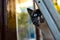 Surprised Siamese cat in the yard of a country house, autumn portrait