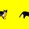 Surprised tuxedo cat on yellow background. Template for animal advertising, copy space, square view.