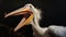 Surprised White Pelican: A Zbrush-inspired Portrait By Jan Matejko