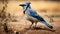 The Surprisingly Absurd Blue Jay: A Surreal Animal Hybrid In Bold Color Field