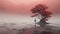 Surreal 3d Landscapes: V Standing In Coral Fog